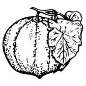 FRUIT007