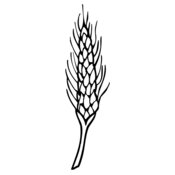 GRAIN010