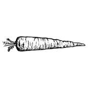 VEG010