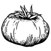 VEG015