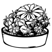 CACTUS02