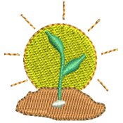 Seeds